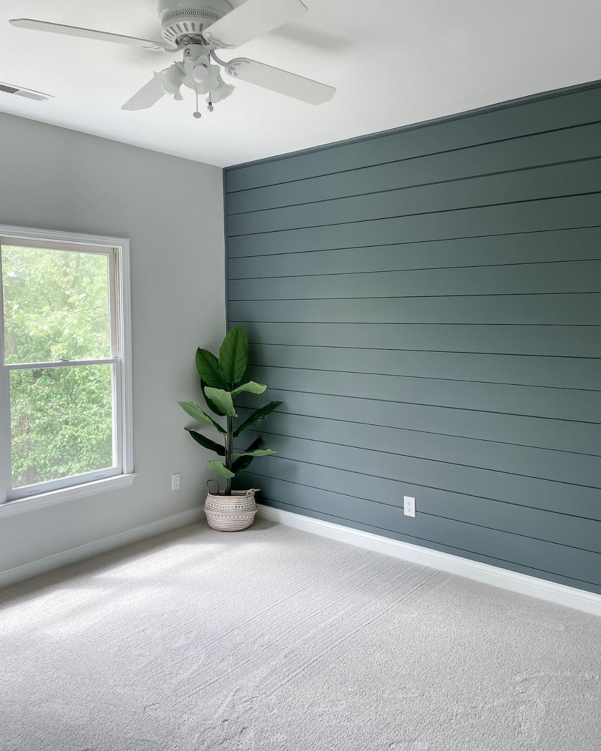 Dark teal shiplap accent wall in a bright room with a window and potted plant.