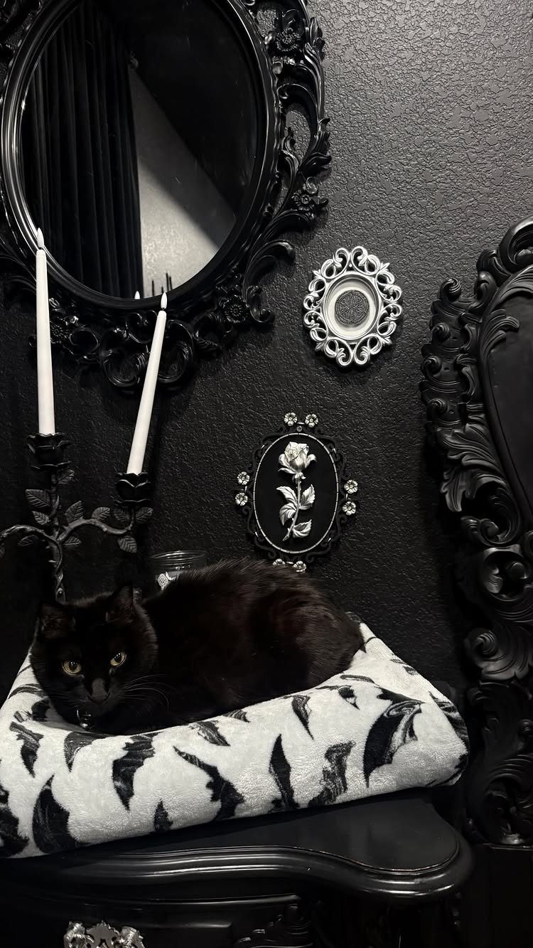 20 Dark Accent Wall Ideas to Try in Any Room 12 Ornate black and white mirrors and floral art hanging on a dark textured wall.